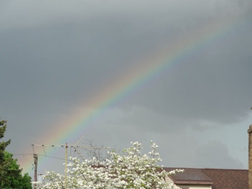 rainbow photo